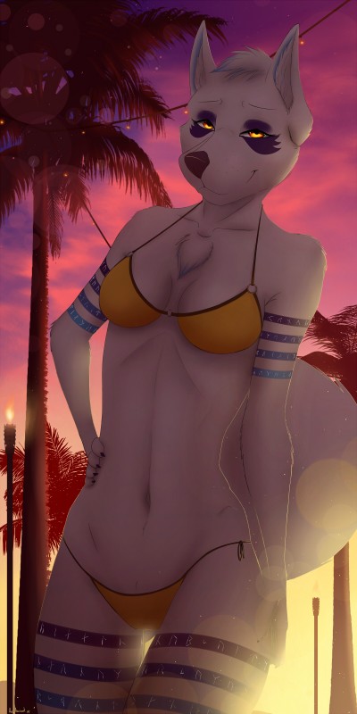 anthro bikini bikini_bottom bikini_top breasts cleavage clothed clothing female fur futhark looking_at_viewer norse_runes outside palm_tree plant runes skinny small_breasts smile solo sparklefur sunset swimwear tree two-piece_swimsuit white_body white_fur yellow_eyes an_ancient aira canid canine canis domestic_dog husky mammal nordic_sled_dog spitz 1:2 absurd_res hi_res