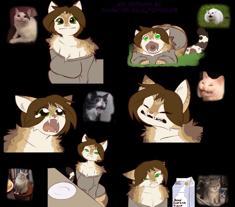 anthro bottomless breasts brown_body brown_fur brown_hair clothed clothing female fur green_eyes hair humor looking_at_viewer scrungy sweater sweater_only topwear topwear_only white_body white_fur dorian-bc crying_cat polite_cat helia_peppercats domestic_cat felid feline felis mammal 2019 alpha_channel digital_media_(artwork) hi_res meme