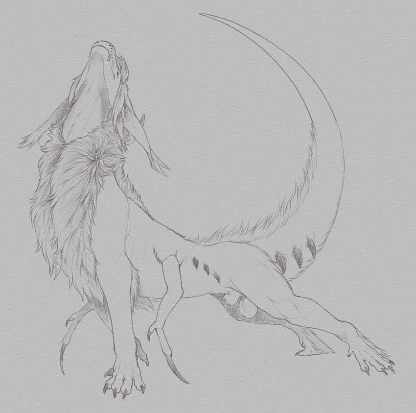 6_limbs animal_genitalia balls black_claws claws detached_sheath feral fully_sheathed fur genitals male mane quadruped sheath solo stretching tail white_sheath yaroul mythology dragon furred_dragon furred_scalie hybrid mythological_creature mythological_scalie scalie 2024 hi_res