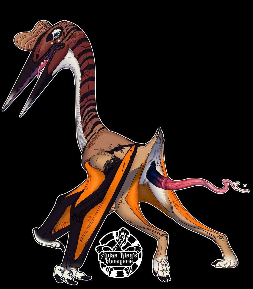 avian_butt beak claws countershade_neck countershading feral genitals male penis simple_background solo tapering_penis transparent_background wings avian-king azhdarchid prehistoric_species pterosaur quetzalcoatlus reptile scalie alpha_channel hi_res