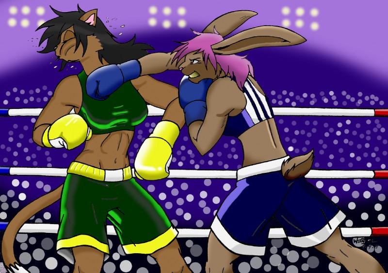 anthro arena boots bottomwear boxing bra breasts clothed clothing crowd duo_focus female fight footwear gloves group guard handwear hit inside punch right_hook ring shoes shorts sport sports_bra underwear violence wendel_fragoso deborah_bispo kadmiel_dyne felid lagomorph leporid mammal rabbit digital_media_(artwork)