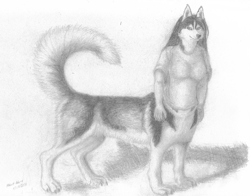 5_fingers bottomless bottomless_female bottomless_taur breasts clothed clothing countershade_face countershade_tail countershade_torso countershading digitigrade female fingers fluffy fluffy_tail hair looking_at_viewer quadruped shadow solo standing tail topwear topwear_only chukchi_husky canid canid_taur canine canine_taur canis dog_taur domestic_dog husky husky_taur mammal mammal_taur nordic_sled_dog spitz taur 2010 full-length_portrait graphite_(artwork) greyscale monochrome pencil_(artwork) portrait shaded soft_shading traditional_media_(artwork) herm_(lore)