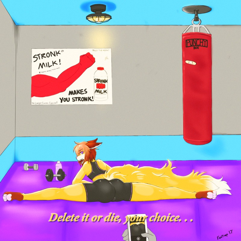 anthro bottomwear brown_hair butt clothed clothing duo electronics femboy flexible fully_clothed gym hair long_tail looking_at_viewer lying male phone poster punching_bag purple_eyes shorts solo_focus stretching tail text weights foxtrap teru canid canine fox mammal 1:1 english_text hi_res