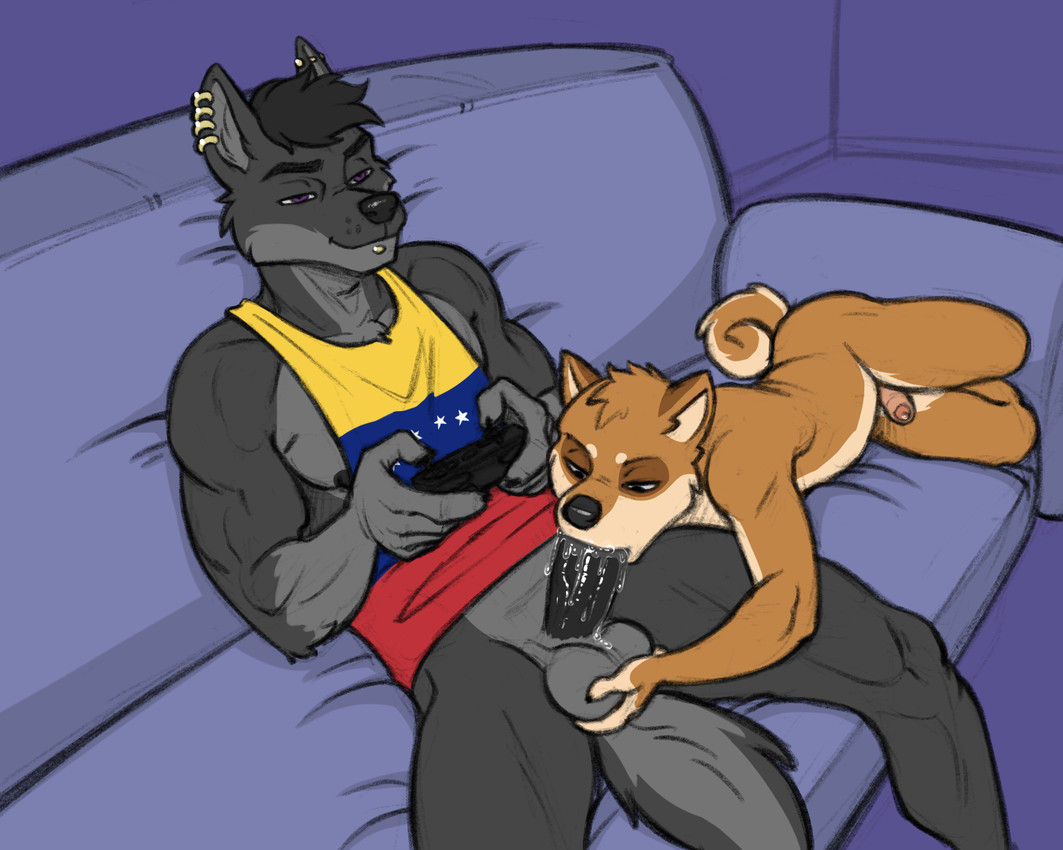 5_fingers anthro anthro_on_anthro anthro_penetrated anthro_penetrating anthro_penetrating_anthro ball_fondling balls black_body black_claws black_fur black_hair black_nipples black_nose black_penis black_tail bodily_fluids bottomless bottomless_anthro bottomless_male casual_sex claws clothed clothing controller curled_tail duo ear_piercing ear_ring erection eye_markings facial_piercing fellatio fingers fondling foreskin fur furniture game_controller gaming gaming_while_penetrating genital_fluids genitals gloves_(marking) grey_balls grey_body grey_fur hair humanoid_genitalia humanoid_penis industrial_piercing leaking_precum lying male male/male male_penetrated male_penetrating male_penetrating_male markings muscular muscular_anthro muscular_male nipples nude nude_anthro nude_male on_side on_sofa oral oral_penetration orange_body orange_fur partially_retracted_foreskin penetration penile penile_penetration penis penis_in_mouth piercing precum precum_on_penis purple_eyes ring_piercing saliva saliva_on_penis sex shirt simple_background sitting sitting_on_sofa size_difference skimpy smile smirk smug sofa sofa_sex spread_legs spreading tail tan_body tan_fur tank_top topwear topwear_only venezuelan_flag xbox_controller kostos_art microsoft venezuela xbox xbox_game_studios edugta_(character) rags_(youtuber) canid canine canis domestic_dog mammal shiba_inu spitz wolf 2025 5:4 digital_media_(artwork) hi_res