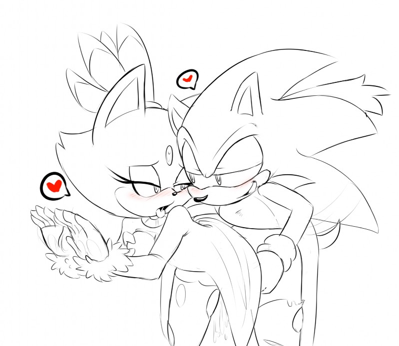 blaze the cat and sonic the hedgehog (sonic the hedgehog (series) and etc) created by tenshigarden