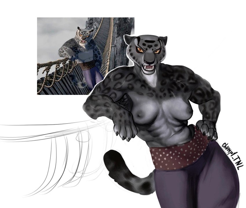 abs anthro breasts bridge crossgender female muscular muscular_female nipples paws rope rope_bridge scar simple_background solo chump1_tnl dreamworks kung_fu_panda tai_lung_(kung_fu_panda) tale felid mammal pantherine snow_leopard 2023 hi_res redraw