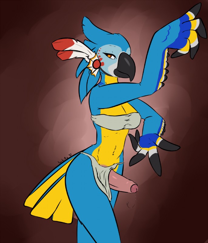 anthro bandeau beak blue_body blue_feathers bottomwear breasts clothed clothing crossgender feathers foreskin genitals gynomorph head_crest intersex loincloth looking_at_viewer midriff mtg_crossgender mti_crossgender non-mammal_breasts orange_eyes penis solo standing tail tail_feathers topwear wings konkitty breath_of_the_wild nintendo the_legend_of_zelda kass_(tloz) avian bird rito 2017 hi_res portrait three-quarter_portrait