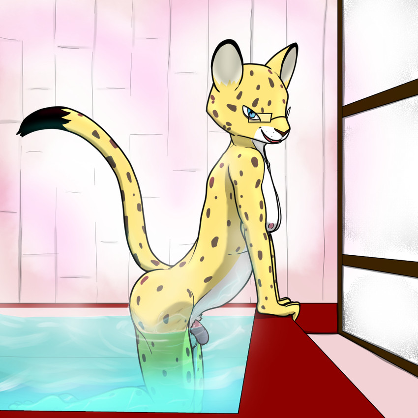 anthro balls bath eyewear genitals glasses humanoid_genitalia humanoid_penis looking_at_viewer male nude penis solo water trashbadger aggretsuko sanrio hyoudou felid leopard mammal pantherine 1:1