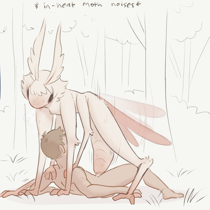 2_fingers 3_toes 4_arms antennae_(anatomy) anthro arm_tuft arthropod_abdomen arthropod_abdomen_genitalia arthropod_abdomen_penetration arthropod_abdomen_vulva black_eyes bodily_fluids duo elbow_tuft feet female female_anthro female_on_top fingers flapping_wings fluffy fur genitals grabbing_another gradient_body gradient_fur grass hair hands_on_shoulders human_on_anthro in_heat interspecies larger_female leg_tuft lying male male/female male_human male_on_bottom multi_arm multi_limb on_back on_bottom on_ground on_top outside outside_sex penetration pink_body pink_skin pink_wings plant sex short_hair simple_background size_difference sweat sweatdrop text toes translucent translucent_wings tree tuft vaginal vaginal_penetration vaginal_tugging vulva white_body white_fur white_hair wings wings_flapping tateoftot alien arthropod human insect lepidopteran mammal moth nychora 1:1 hi_res