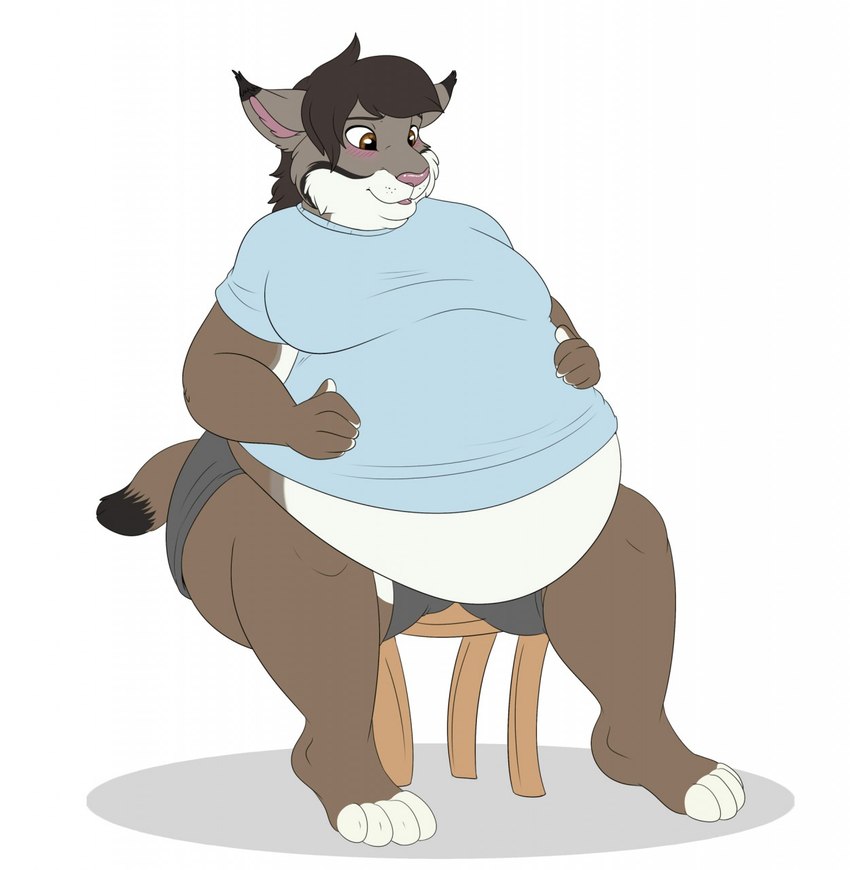 4_toes 5_fingers anthro black_hair blush bottomwear brown_eyes clothed clothing dipstick_ears dipstick_tail ear_markings eyebrows feet fingers fur furniture hair male markings multicolored_body multicolored_ears multicolored_fur obese obese_anthro obese_male overweight overweight_anthro overweight_male pink_nose shirt shorts sitting solo stool tail tail_markings toes topwear anuvia tach_(tach0012) felid feline lynx mammal hi_res