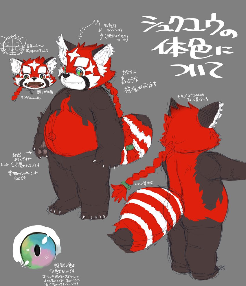 anthro biped black_body butt cute_fangs fangs kemono male overweight overweight_male red_body solo teeth text white_body young kita_9999 lifewonders tokyo_afterschool_summoners zhurong_(tas) ailurid mammal red_panda 2021 absurd_res hi_res japanese_text model_sheet