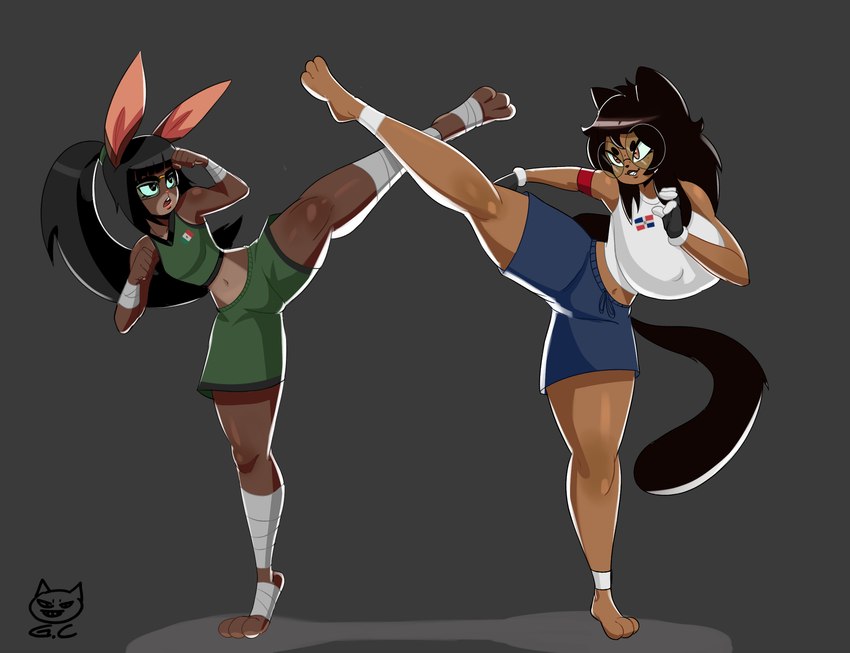 anthro big_breasts breasts dominican duo eyewear female female/female glasses karate kick mexican pose gomezcat candy_the_mongoose small_indian_mongoose hi_res pinup