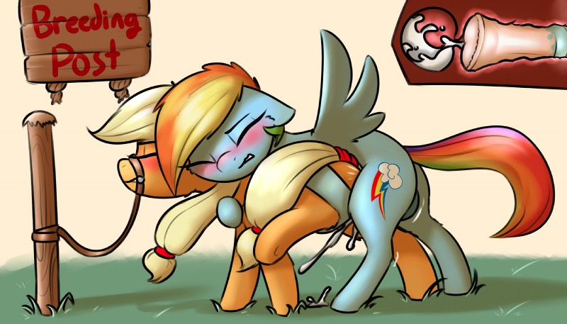 applejack and rainbow dash (friendship is magic and etc) created by pudgeruffian