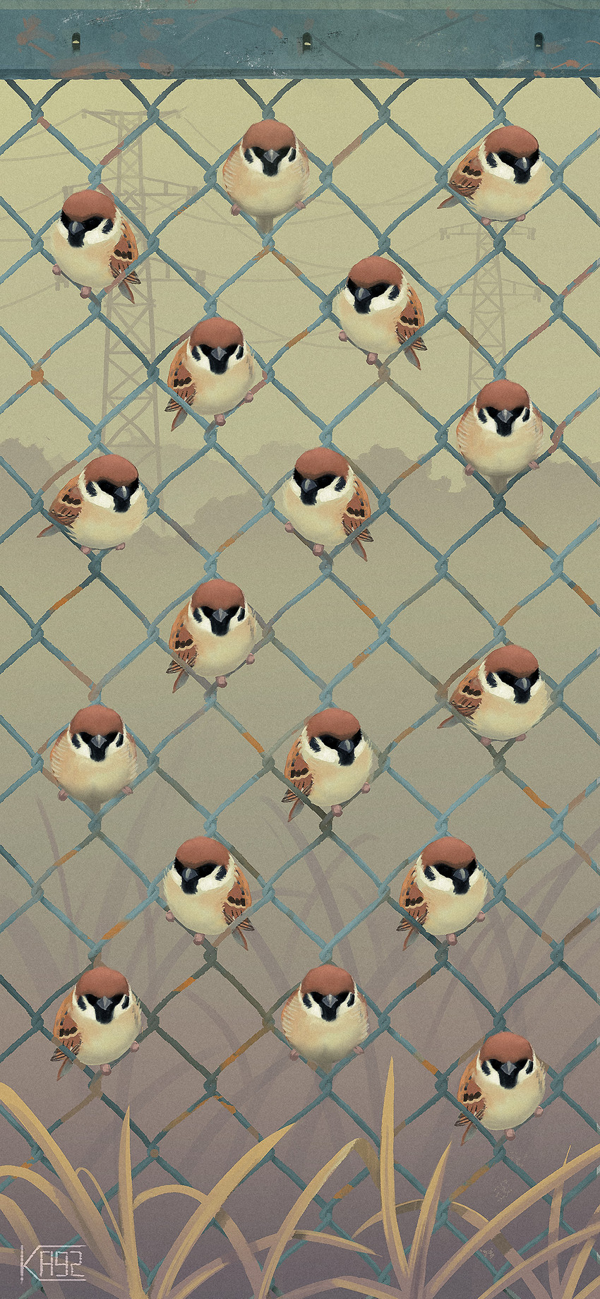 ambiguous_gender beak brown_body brown_feathers chain-link_fence feathers fence feral grass group outside perching plant power_lines tan_body tan_feathers transmission_tower wings ka92 avian bird oscine passerine sparrow 2020 absurd_res hi_res wallpaper