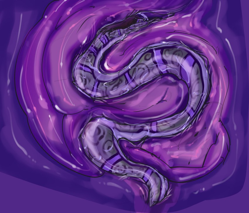 anal anal_fluids anal_juice_drip anal_juice_on_body anal_juice_string anal_vore anthro anthro_pred anus apode bodily_fluids dripping fangs foam fully_inside goo_drip guts horn inside_stomach intestines larger_anthro larger_male larger_pred legless male male_pred muscular muscular_anthro muscular_male organs purple_body purple_flesh purple_insides purple_internal red_eyes saliva saliva_drip saliva_string serpentine sharp_teeth size_difference slime smaller_anthro smaller_male soft_vore spiked_tail spikes spikes_(anatomy) stomach stomach_acid tail teeth vore wet willing_pred jegzzeru(g.) mythology devourer_(razor_koopa) draconcopode dragon goo_creature goo_dragon mythological_creature mythological_scalie naga reptile scalie snake absurd_res digital_media_(artwork) hi_res