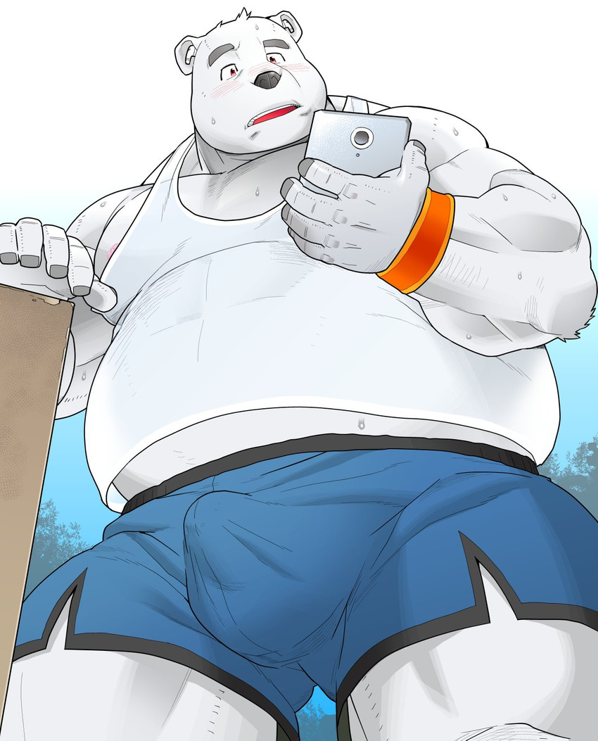 anthro belly black_nose bodily_fluids bottomwear bulge cellphone clothed clothing electronics fur humanoid_hands kemono male outside overweight overweight_anthro overweight_male phone shirt shorts smartphone solo sweat tank_top topwear underwear white_body white_fur kira_nerisu bear mammal polar_bear ursine 2020 hi_res