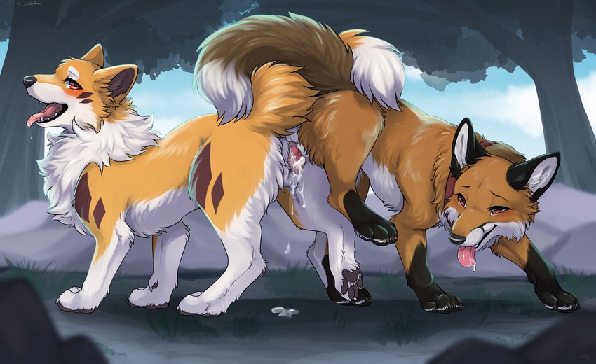 kitsuneinu and red fox created by tsukune minaga