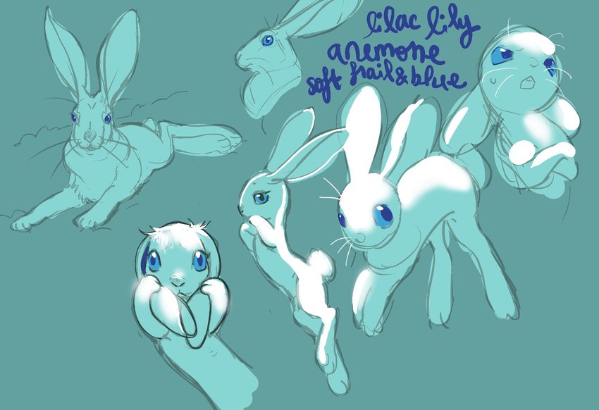 :< ambiguous_gender blue_eyes bodily_fluids crossed_arms feral fur looking_at_viewer looking_away open_mouth semi-anthro simple_background solo sweat sweatdrop text whiskers white_body white_fur dokudrinker hare lagomorph leporid mammal digital_media_(artwork) english_text