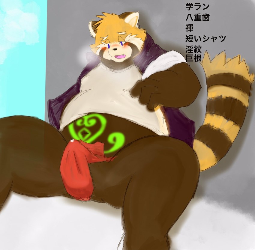 anthro asian_clothing belly blush bodily_fluids brown_body brown_fur bulge clothed clothing east_asian_clothing erection erection_under_clothing fundoshi fur genital_fluids japanese_clothing kemono male overweight overweight_anthro overweight_male precum red_clothing red_fundoshi red_underwear shirt sitting solo text topwear underwear armadirou ailurid mammal red_panda 2020 hi_res japanese_text