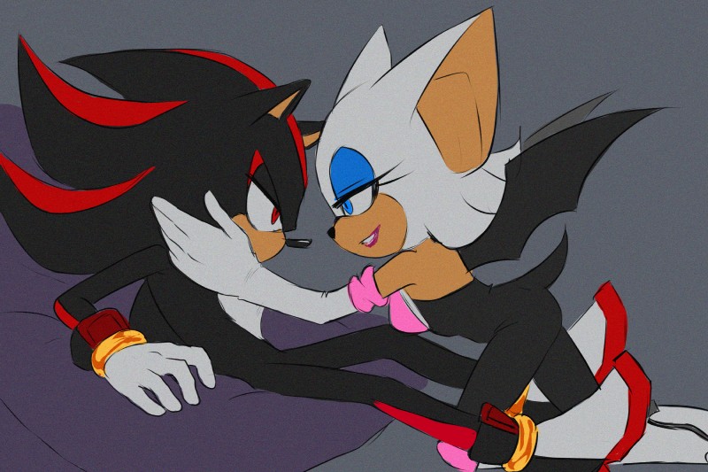 anthro black_nose blue_eyes clothing duo eye_contact eyeshadow female footwear fur gloves handwear lipstick looking_at_another makeup male male/female red_eyes white_body white_fur wings di-dash sega sonic_the_hedgehog_(series) rouge_the_bat shadow_the_hedgehog bat eulipotyphlan hedgehog mammal 3:2 hi_res