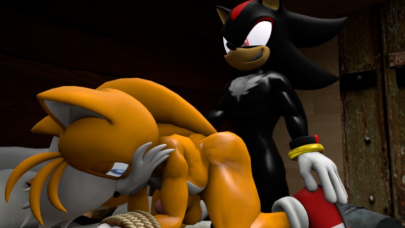 miles prower and shadow the hedgehog (sonic the hedgehog (series) and etc) created by absedgy