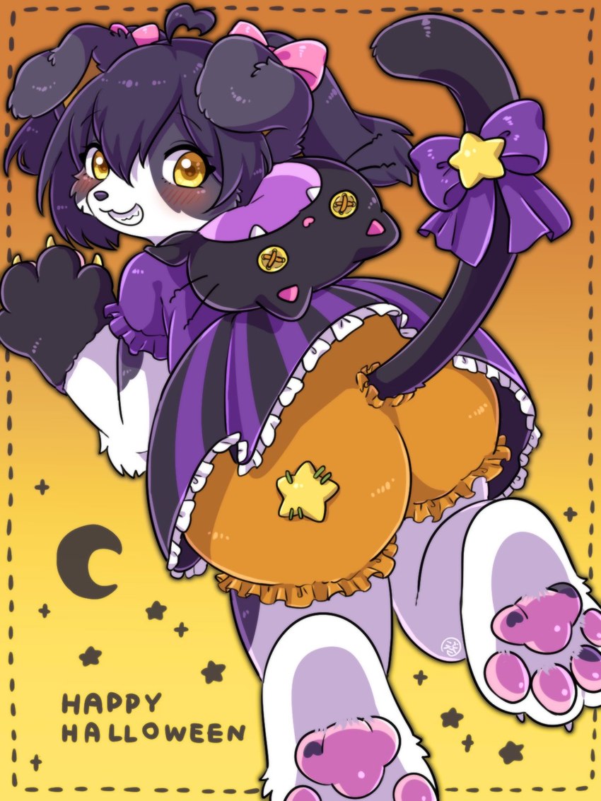 cotorita (halloween) created by koto0v0haru