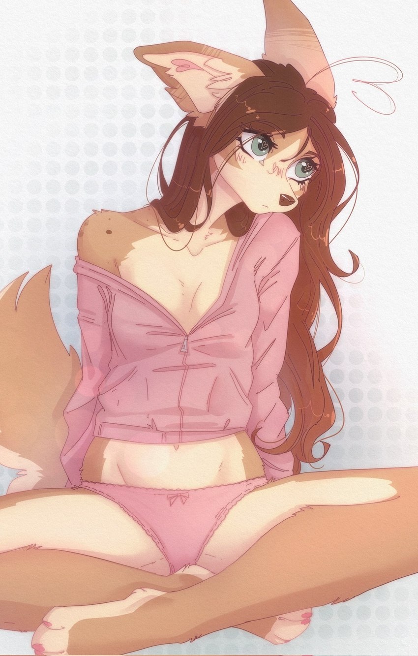 anthro barefoot breasts brown_body brown_fur brown_hair brown_tail claws clothed clothed_anthro clothed_female clothing countershade_torso countershading feet female front_view fur green_eyes hair inner_ear_fluff looking_aside navel panties pantsless pantsless_anthro pantsless_female partially_clothed partially_clothed_anthro partially_clothed_female paws simple_background sitting solo spread_legs spreading tail toe_claws toes topwear tuft underwear yshanii cotton_(yshanii) canid canine canis dingo mammal 2025 digital_media_(artwork) hi_res