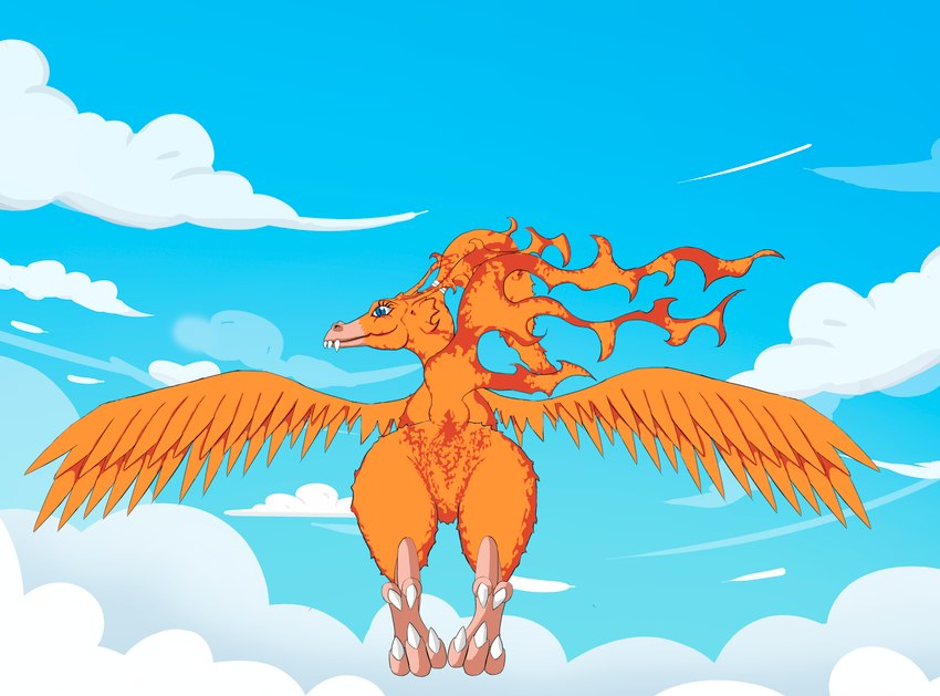 feathers female feral fire sky solo bode_fuceta bandai_namco digimon european_mythology greek_mythology mythology avian birdramon digimon_(species) mythological_avian mythological_bird mythological_creature mythological_firebird phoenix absurd_res hi_res