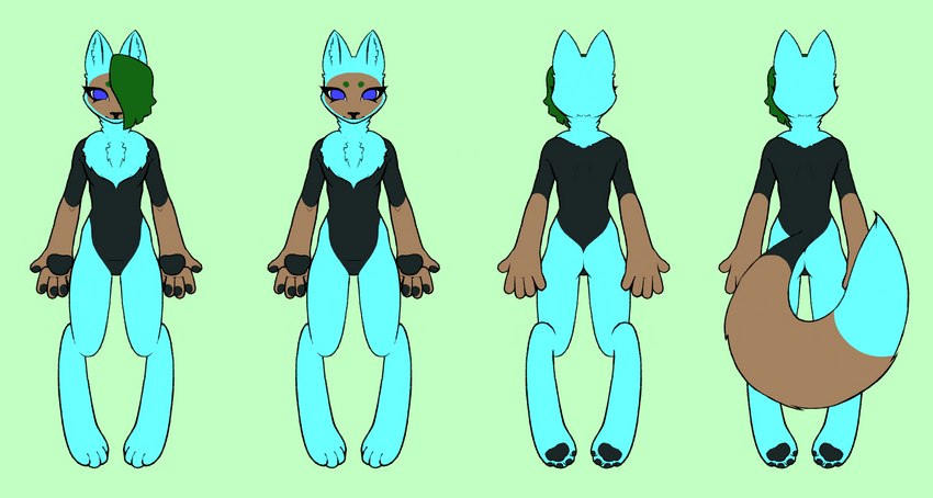 4_toes 5_fingers anthro big_hands black_body black_fur black_nose black_pawpads blue_body blue_eyes blue_fur brown_body brown_fur butt chest_tuft circle_eyebrows digitigrade eyebrows facial_markings feet female fingers fluffy fluffy_tail front_and_back front_view fur gloves_(marking) green_hair hair hair_over_eye handpaw head_markings hindpaw inner_ear_fluff leg_markings looking_at_viewer markings mask_(marking) neck_tuft nude one_eye_obstructed outline pawpads paws pointy_ears prick_ears rear_view skinny slim socks_(marking) solo tail tail_markings tailless toes tuft upturned_eyes dreamscreep glimmer_(dreamscreep) domestic_cat felid feline felis mammal absurd_res digital_media_(artwork) hi_res model_sheet procreate_(artwork) nonbinary_(lore)