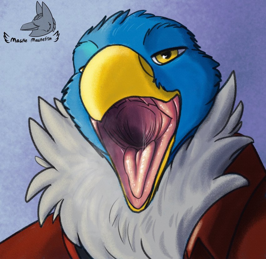 anthro anthro_pred beak black_body black_feathers blue_body blue_feathers bodily_fluids clothed clothing drooling feathers front_view gaping_mouth looking_at_viewer male mouth_shot multicolored_body multicolored_feathers open_beak open_mouth pink_tongue saliva solo tongue topwear white_body white_feathers yellow_beak yellow_eyes magpie_magnetism ahab_(ahugebird) accipitrid accipitriform avian bald_eagle bird eagle sea_eagle 2022 digital_media_(artwork) hi_res shaded signature