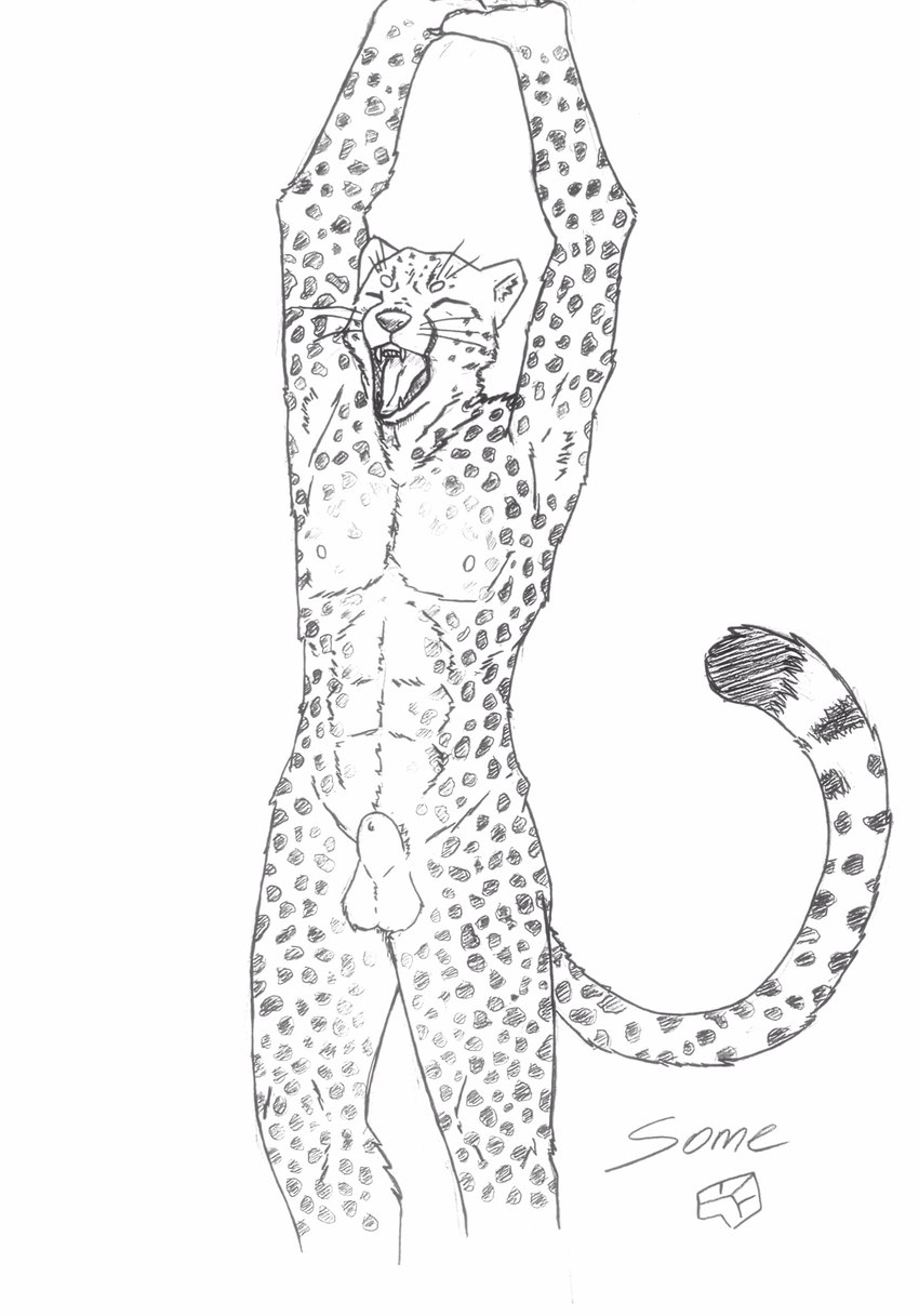 animal_genitalia animal_penis anthro balls feline_genitalia feline_penis genitals male nude open_mouth penis raised_arms solo standing stretching whiskers yawn some_(someone) cheetah felid feline mammal absurd_res graphite_(artwork) hi_res pencil_(artwork) traditional_media_(artwork)