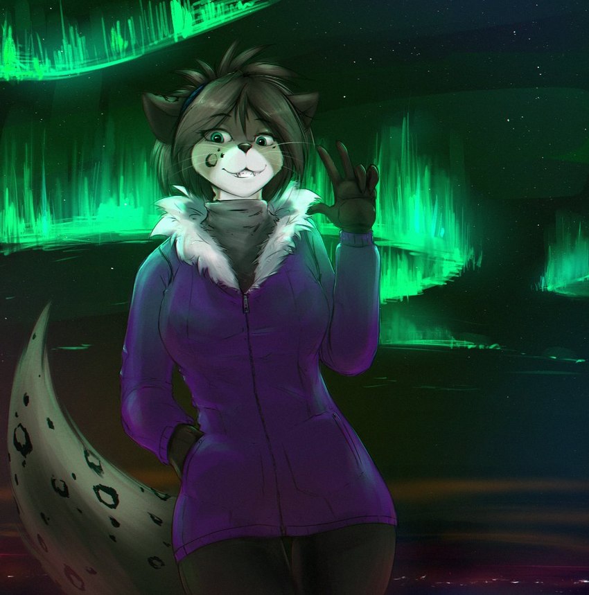 5_fingers anthro aurora_(phenomenon) clothed clothing coat female fingers gesture green_eyes hand_in_pocket looking_at_viewer night outside parka pockets smile solo standing topwear waving whiskers yttrium_(artist) twokinds kathrin_vaughan canid canine canis felid hybrid mammal pantherine snow_leopard wolf 2021 portrait three-quarter_portrait