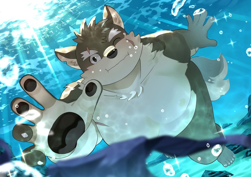 anthro asian_clothing belly blush clothing detailed_background east_asian_clothing eyebrows fundoshi holding_breath japanese_clothing lost_underwear male nude overweight pawpads scar solo swimming thick_eyebrows underwater underwear water agitong agitoryuusaki lifewonders tokyo_afterschool_summoners moritaka_(tas) canid canine canis domestic_dog mammal absurd_res hi_res