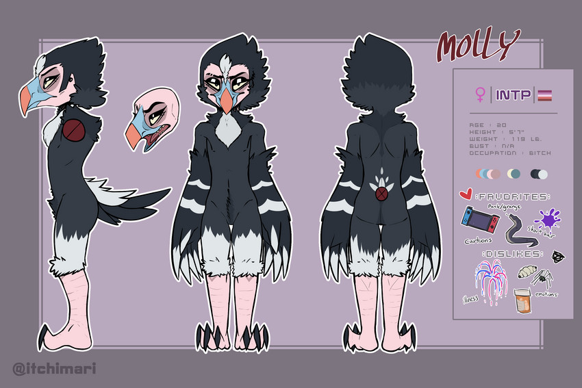 anthro eyeshadow feather_hands feathers female flat_chested frown makeup open_mouth solo teeth text itchi accipitrid accipitriform avian bird old_world_vulture vulture white-headed_vulture 3:2 english_text flat_colors hi_res model_sheet