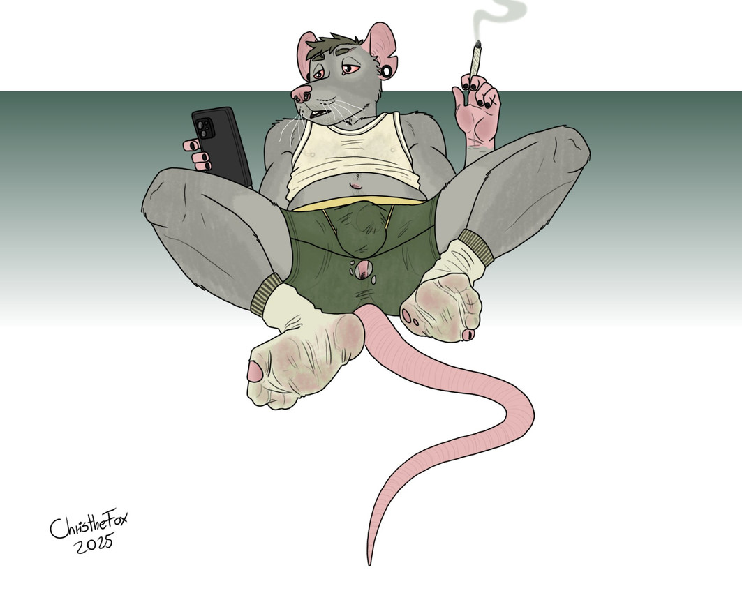 anthro cellphone clothing drugs ear_piercing electronics footwear holding_cellphone holding_joint holding_object holding_phone holding_smartphone lying male marijuana on_back open_mouth phone piercing rat_tail shirt smartphone smoke smoking smoking_marijuana socks solo tail tank_top topwear torn_clothing bartek22 mammal murid murine rat rodent hi_res