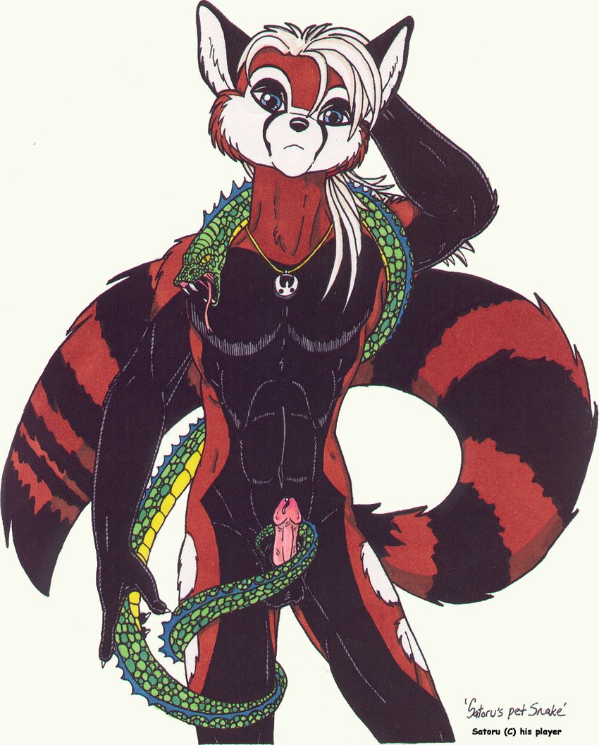 abs ambiguous_feral ambiguous_gender anthro balls black_body black_fur black_nose blue_eyes bodily_fluids detailed_scales duo erection fangs feral forked_tongue fur genital_fluids genitals green_body green_scales hair humanoid_genitalia humanoid_penis jewelry looking_at_viewer male male_anthro markings navel necklace necklace_only nude open_mouth orange_body orange_fur pecs pendant penis pink_penis pink_tongue ponytail precum ring_(marking) ringed_tail scales simple_background standing striped_markings striped_tail stripes tail tail_markings teeth tongue tongue_out white_background white_hair unknown_artist ailurid mammal red_panda reptile scalie snake detailed marker_(artwork) pen_(artwork) portrait shaded three-quarter_portrait traditional_media_(artwork)