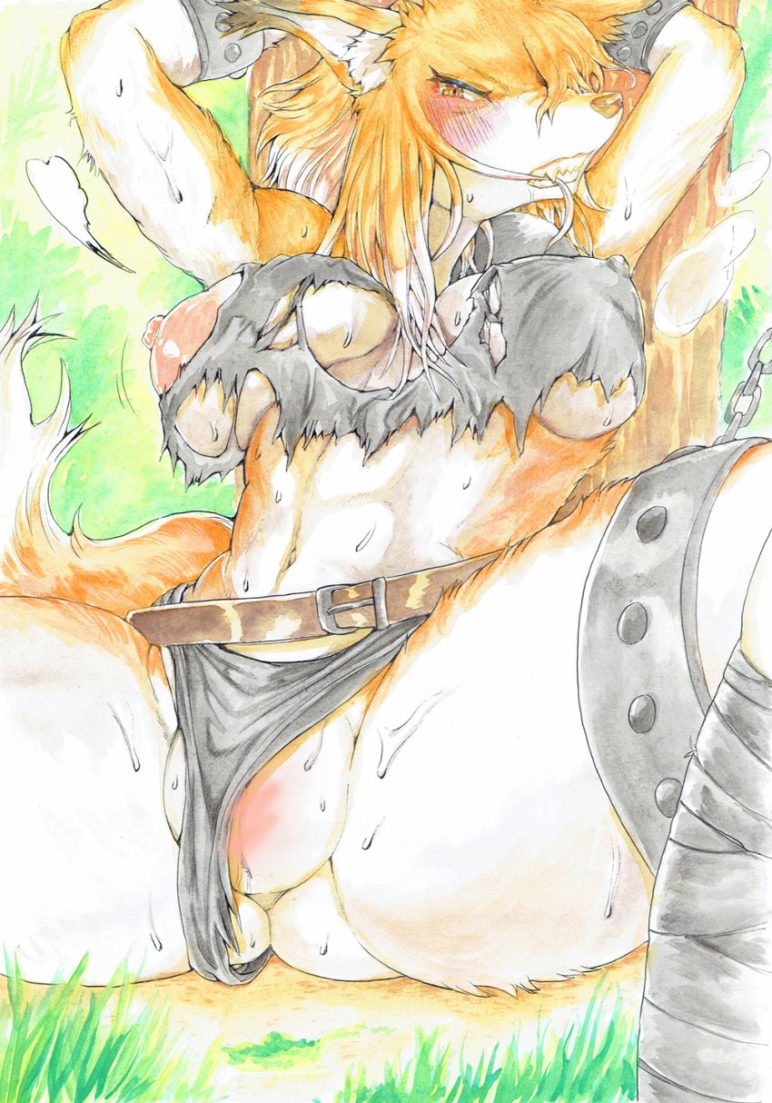 angry anthro areola bdsm biting_hair blush bodily_fluids bondage bound breasts butt butt_from_the_front chain clothed clothing ear_tuft female fur fur_tuft genitals grey_clothing hair hair_bite inner_ear_fluff metal_chain nipple_outline nipples orange_body orange_ears orange_fur orange_tail pink_areola pink_nipples pussy restrained solo spread_legs spreading sweat tail teeth torn_clothing tuft a-deru feda:_the_emblem_of_justice dora_systeel canid canine fox mammal 2022 censored hi_res