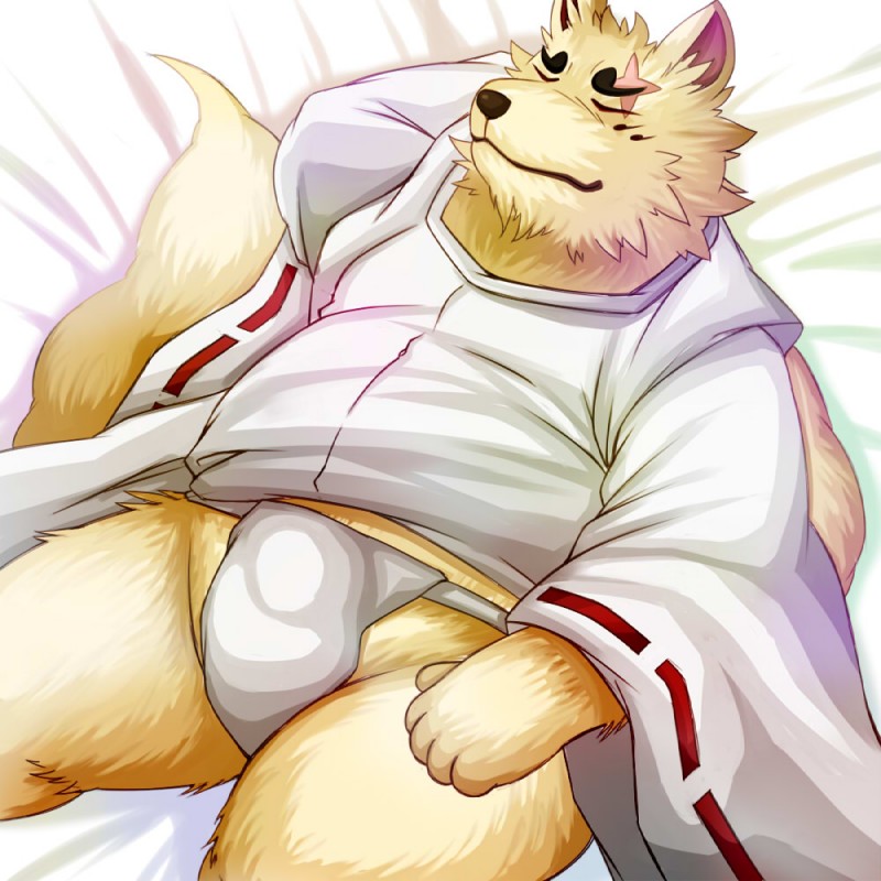 anthro asian_clothing black_nose clothing east_asian_clothing eyes_closed fluffy fluffy_tail fundoshi japanese_clothing kemono male overweight overweight_anthro overweight_male sleeping slightly_chubby solo tail underwear kemomoe lako gingitsune gintaro canid canine fox mammal 1:1