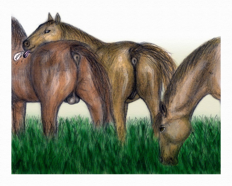 animal_genitalia anus balls butt equine_anus eunuch fart_joke female feral genitals group male presenting presenting_anus presenting_hindquarters presenting_pussy puffy_anus pussy raised_tail realistic_feral rear_view surprise tail darkmare malicorne equid equine horse mammal digital_media_(artwork) graphite_(artwork) mixed_media pencil_(artwork) traditional_media_(artwork)