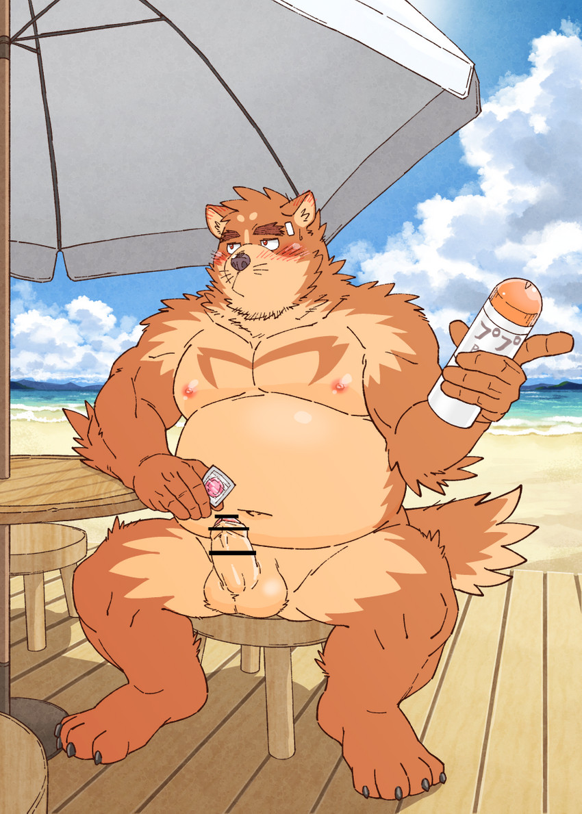 4_toes anthro balls barefoot beach belly blush brown_body brown_fur clothing condom detailed_background erection feet flip_flops footwear fur genitals humanoid_genitalia humanoid_hands humanoid_penis kemono male moobs musclegut muscular muscular_male navel nipples outside overweight overweight_anthro overweight_male penis sandals seaside sexual_barrier_device shoes sitting solo text toes water ryuta-h canid canine mammal censored hi_res japanese_text