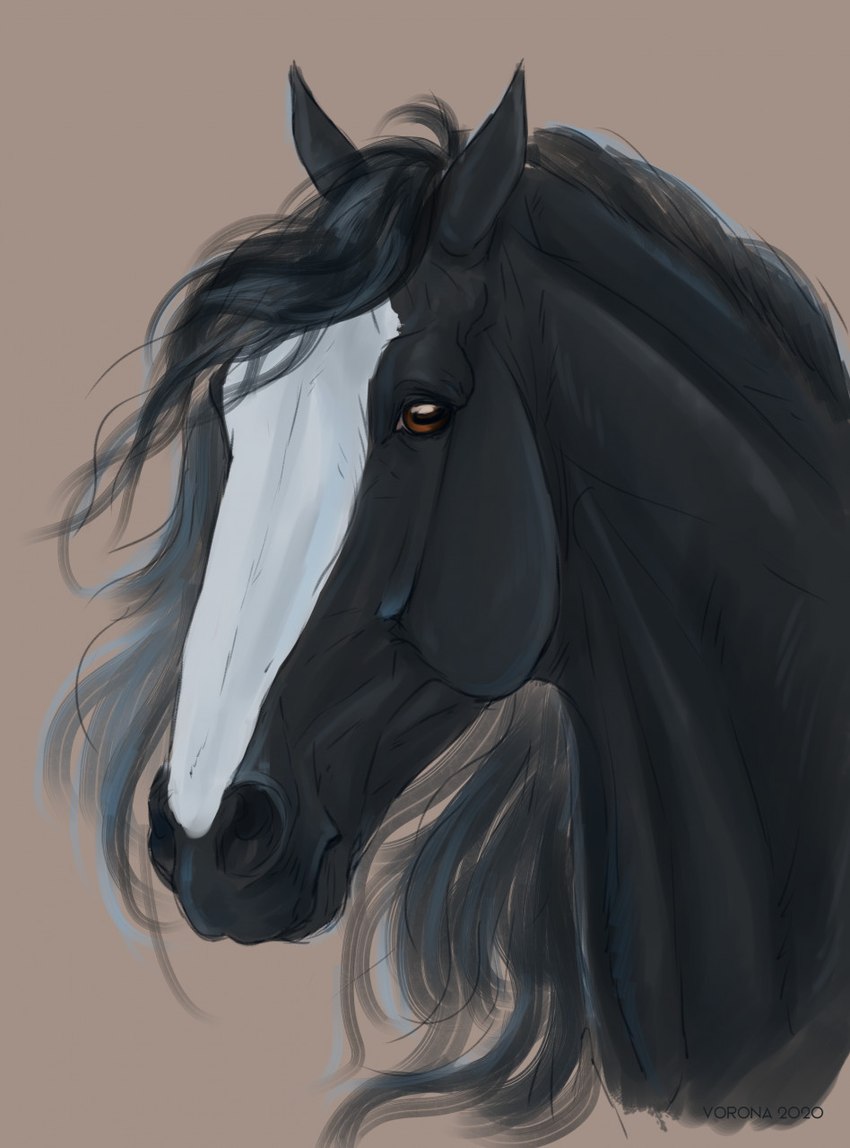 ambiguous_gender black_body black_hair black_mane facial_markings feral hair head_markings looking_at_viewer mane markings simple_background solo voronasasha clyde_(wasen) draft_horse equid equine horse mammal 2020 digital_media_(artwork) hi_res