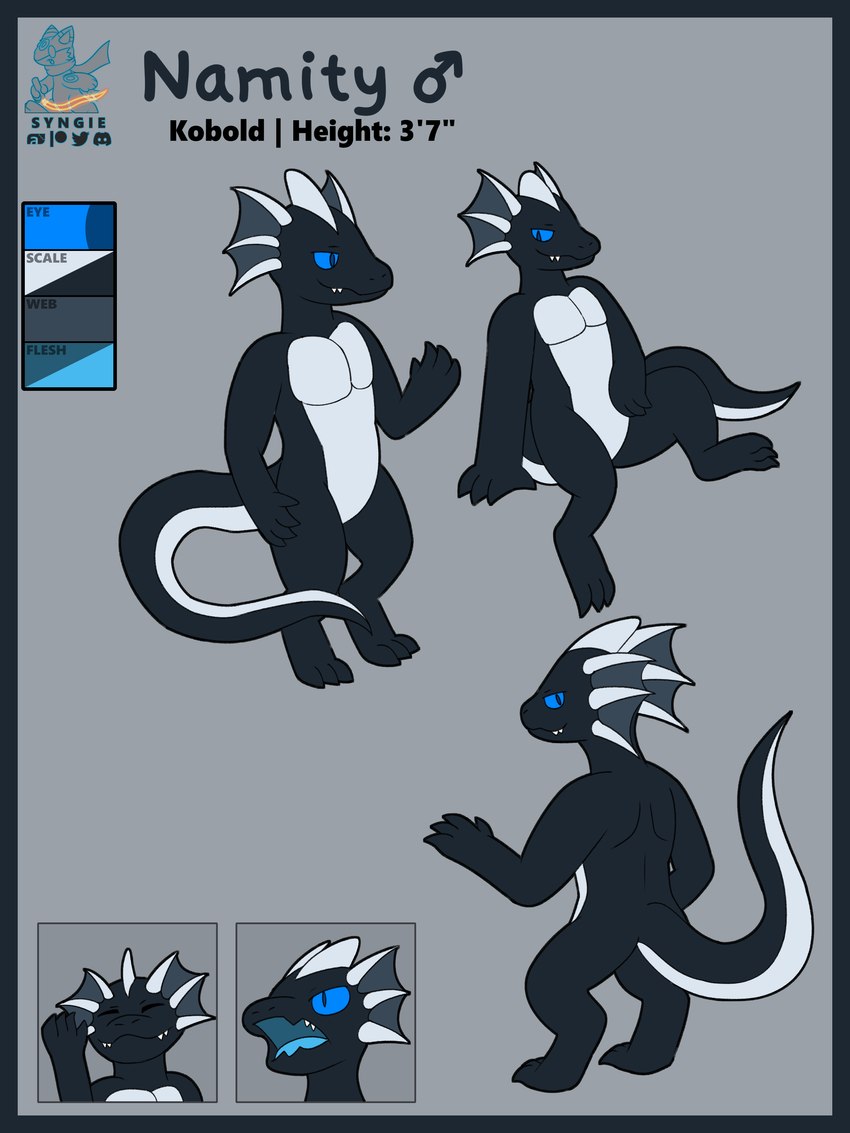 black_body black_scales blue_border blue_sclera blue_tongue border countershading ear_frill frill_(anatomy) horn scales solo tongue white_body white_countershading syngie namity_(character) kobold scalie 3:4 absurd_res hi_res model_sheet