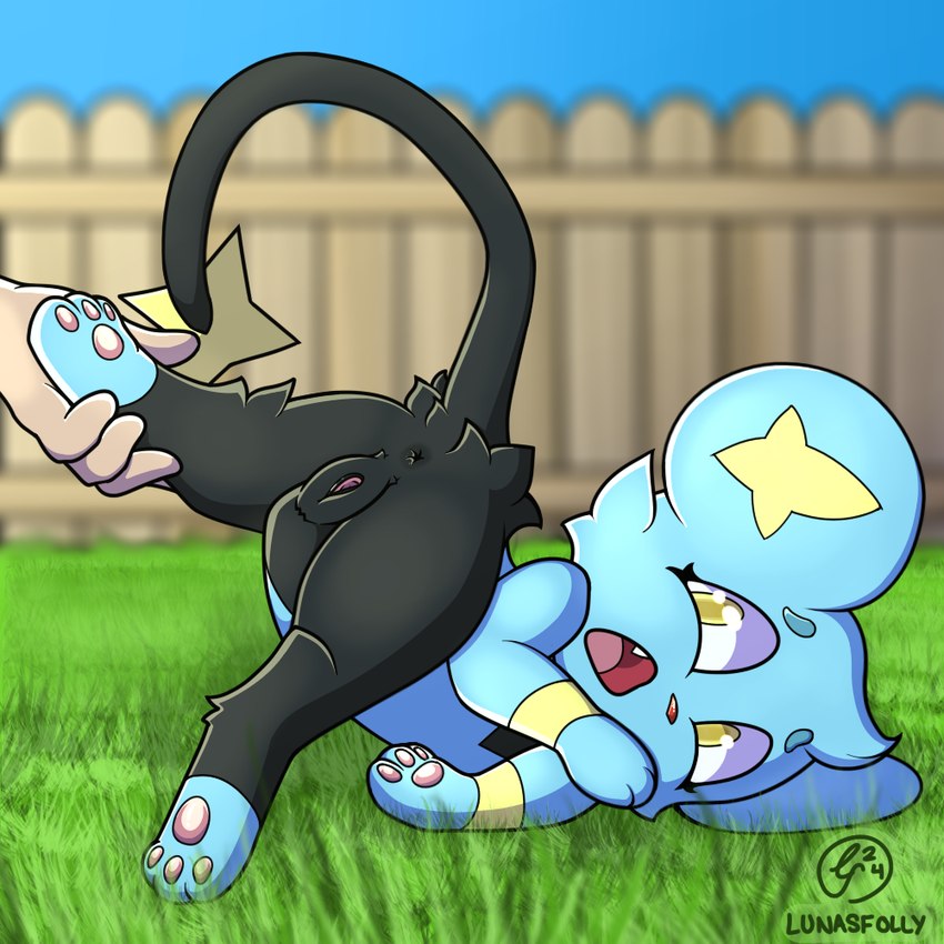 anatomically_correct anatomically_correct_genitalia anatomically_correct_pussy anus day detailed_background disembodied_hand duo female feral genitals leg_grab lifted lifted_by_leg outside pawpads pussy questionable_consent solo_focus surprised_expression lunasfolly nintendo pokemon generation_4_pokemon mammal pokemon_(species) shinx 1:1