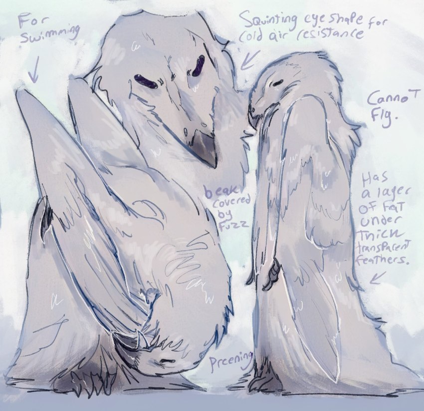 ambiguous_gender anthro avian_feet beak claws educational feathers flippers personal_grooming simple_background solo study text white_body white_feathers winged_arms wings xperhant avian bird erosion_bird penguin english_text hi_res