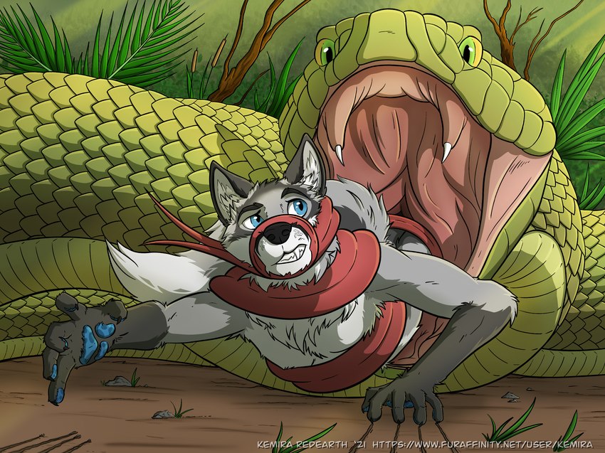 ambiguous_gender ambiguous_pred anthro anthro_prey blue_eyes blue_pawpads cattail_(plant) claw_marks claws clenched_teeth detailed_mouth dirt duo fangs feet_first feral feral_pred fern forked_tongue fur grass green_body green_eyes green_scales grey_body grey_fur inner_ear_fluff larger_ambiguous larger_feral larger_pred leaf long_tongue looking_back male male/ambiguous male_prey open_mouth oral_vore outside partially_inside pawpads plant rock scales size_difference smaller_anthro smaller_male smaller_prey soft_vore struggling struggling_prey swallowing teeth tongue tongue_wrap tree tuft vore white_body white_fur yellow_sclera kemira kelevra canid canine mammal reptile scalie snake werecanid werecanine werecreature werefox hi_res