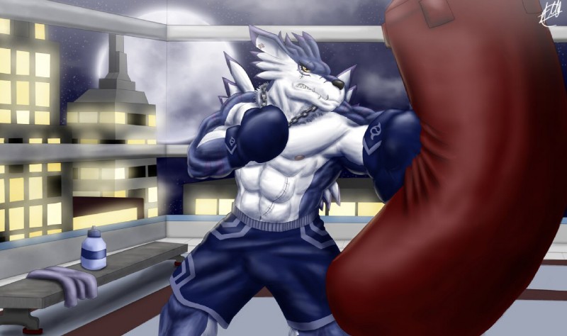 abs anthro biceps black_nose bottomwear boxing boxing_gloves chain city clothed clothing handwear inside male moon muscular muscular_anthro muscular_male night nipples punching_bag scar shorts solo sport teeth topless training view yellow_eyes symbolhero bandai_namco digimon canid canine digimon_(species) mammal weregarurumon