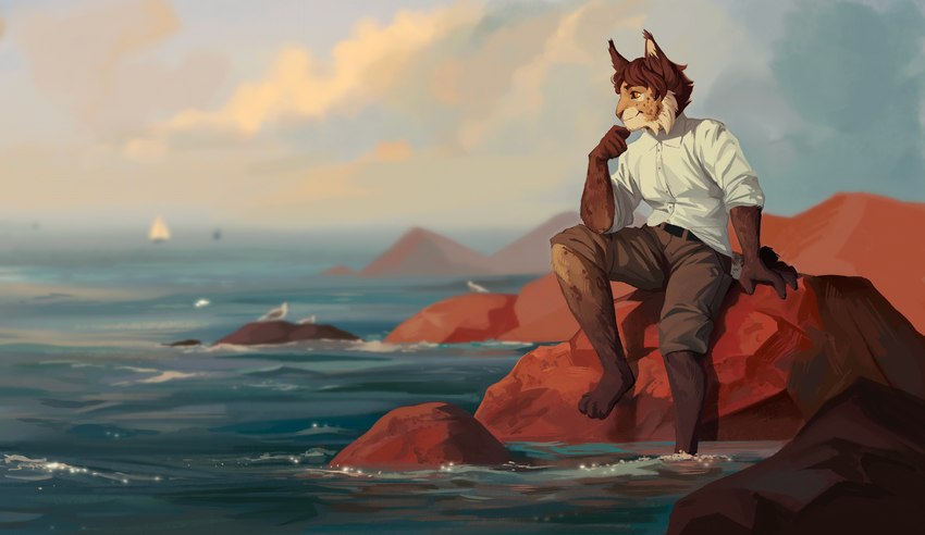 anthro brown_hair clothed clothing cloud hair male rock sitting sky solo water yellow_eyes novikjpg aidan_(sryer) eurasian_lynx felid feline lynx mammal 2023 hi_res