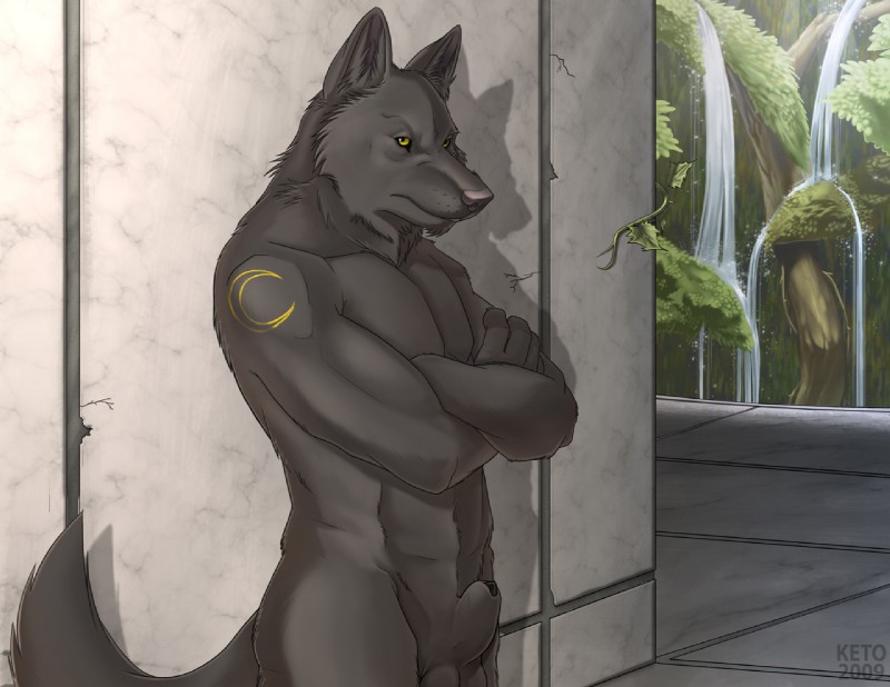 Male gray discount wolf furry naked