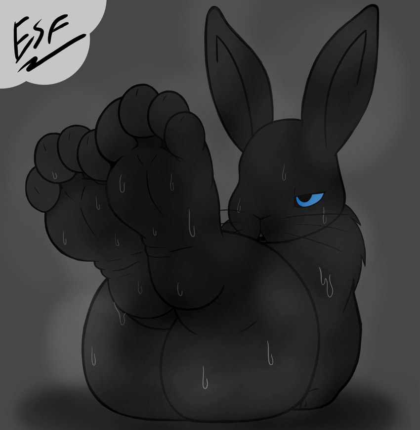 4_toes ambiguous_gender anthro barefoot big_butt black_body black_eyes black_fur black_nose blue_sclera bodily_fluids buckteeth butt casual_nudity claws curvy_figure feet foot_fetish foot_focus fur half-closed_eyes hindpaw humanoid_feet in_heat legs_up long_ears looking_at_foot musk narrowed_eyes nude open_mouth paws plantigrade presenting presenting_hindquarters rear_view short_stack simple_background sitting soles solo sweat teeth thick_thighs toe_claws toes whiskers wide_hips wrinkled_feet wrinkles electricsnowfox lagomorph leporid mammal rabbit absurd_res digital_media_(artwork) hi_res