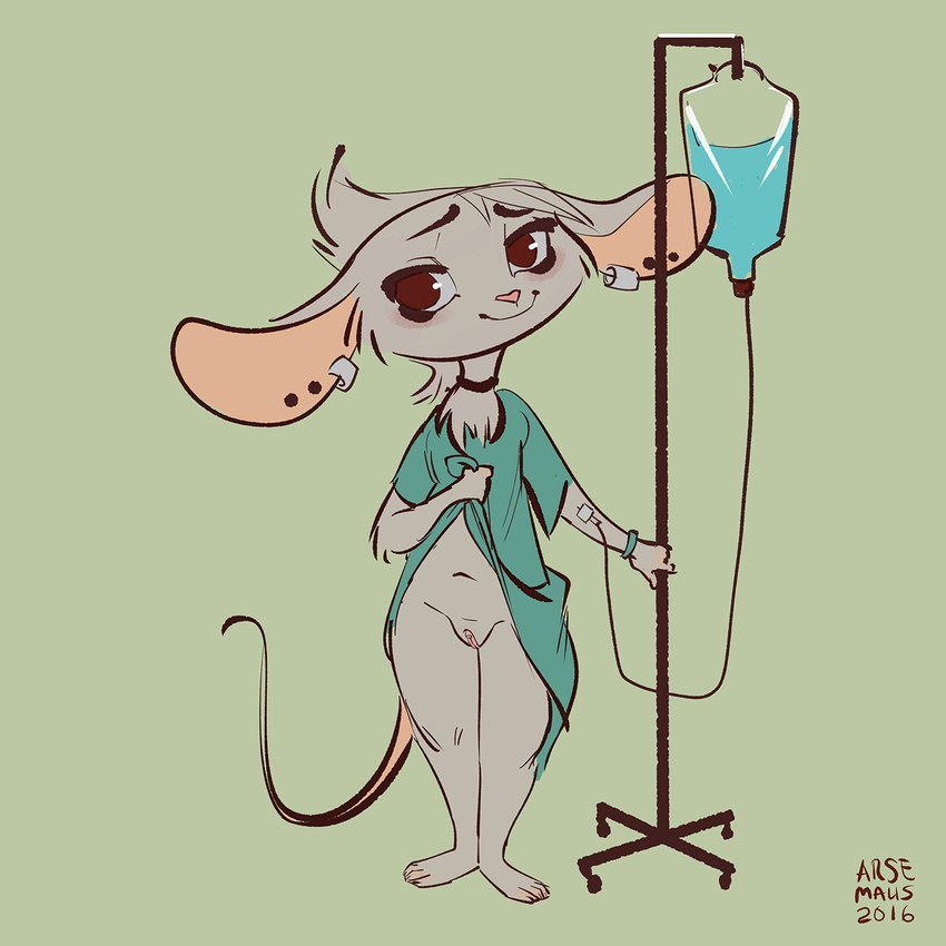 anthro big_ears clothed clothing clothing_lift ear_piercing ear_ring female fur genitals green_background grey_body grey_fur hospital_gown intravenous intravenous_drip looking_at_viewer partially_clothed piercing presenting presenting_pussy pussy ring_piercing simple_background smile solo standing arsemaus ill_jill mammal mouse murid murine rodent 1:1 2016 full-length_portrait hi_res portrait